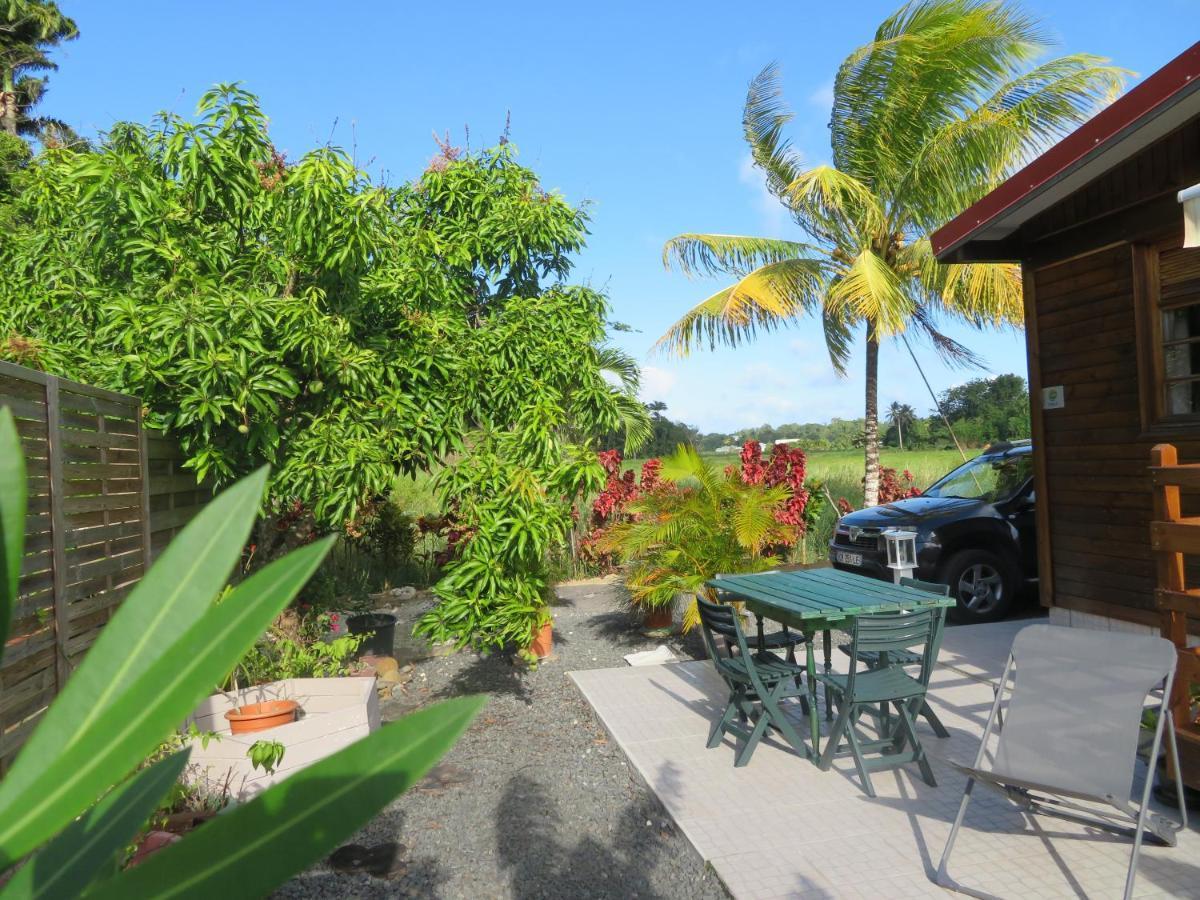 Bungalow Des Paletuviers Morne-a-l'Eau Buitenkant foto